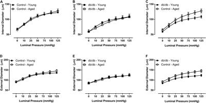 Frontiers Coronary Microvascular Remodeling in Type 2 Diabetes